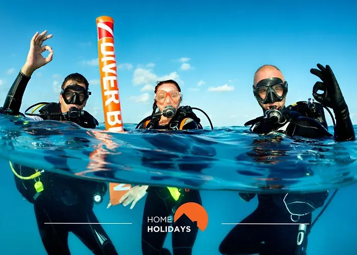 #020 Medronheira By Home Holidays